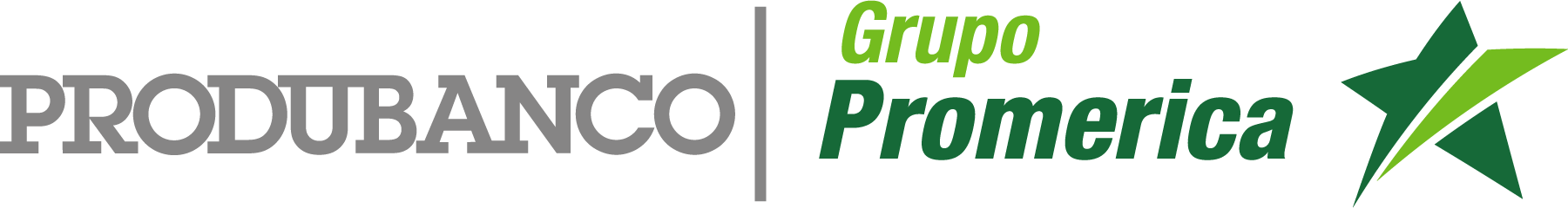 PRODUBANCO-Grupo-Promerica-Logo-Vector